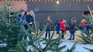 Weihnachtsbaumverkauf